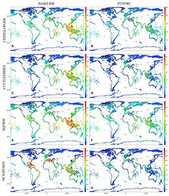 Global Patterns of Coastal Cephalopod Diversity Under Climate Change